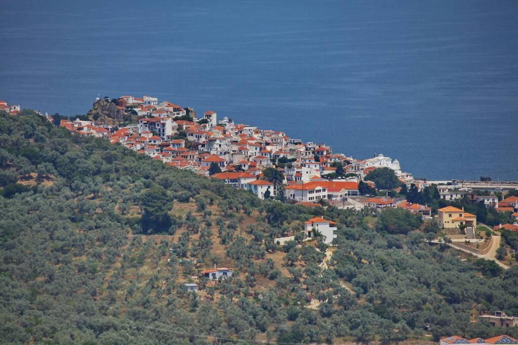 Villa Koukounaria Skopelos Exterior foto